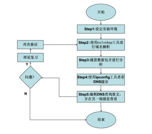 DNS域名服務協議實驗在計算機網絡技術教學中的實踐與探索